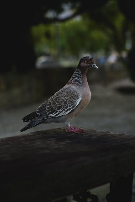 A Guide to Manchester’s Urban Wildlife